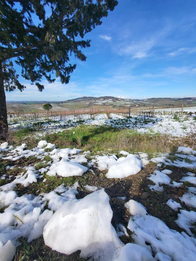 Апартаменты Dimora In Сан-Куйрико-д'Орча Экстерьер фото